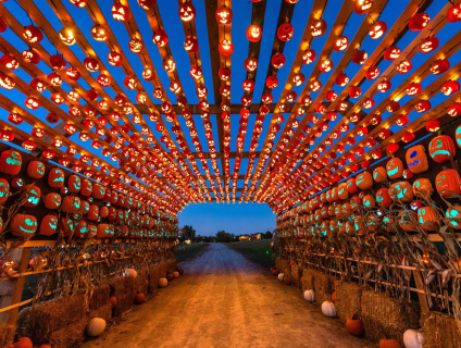 Pumpkins After Dark у Калгарі