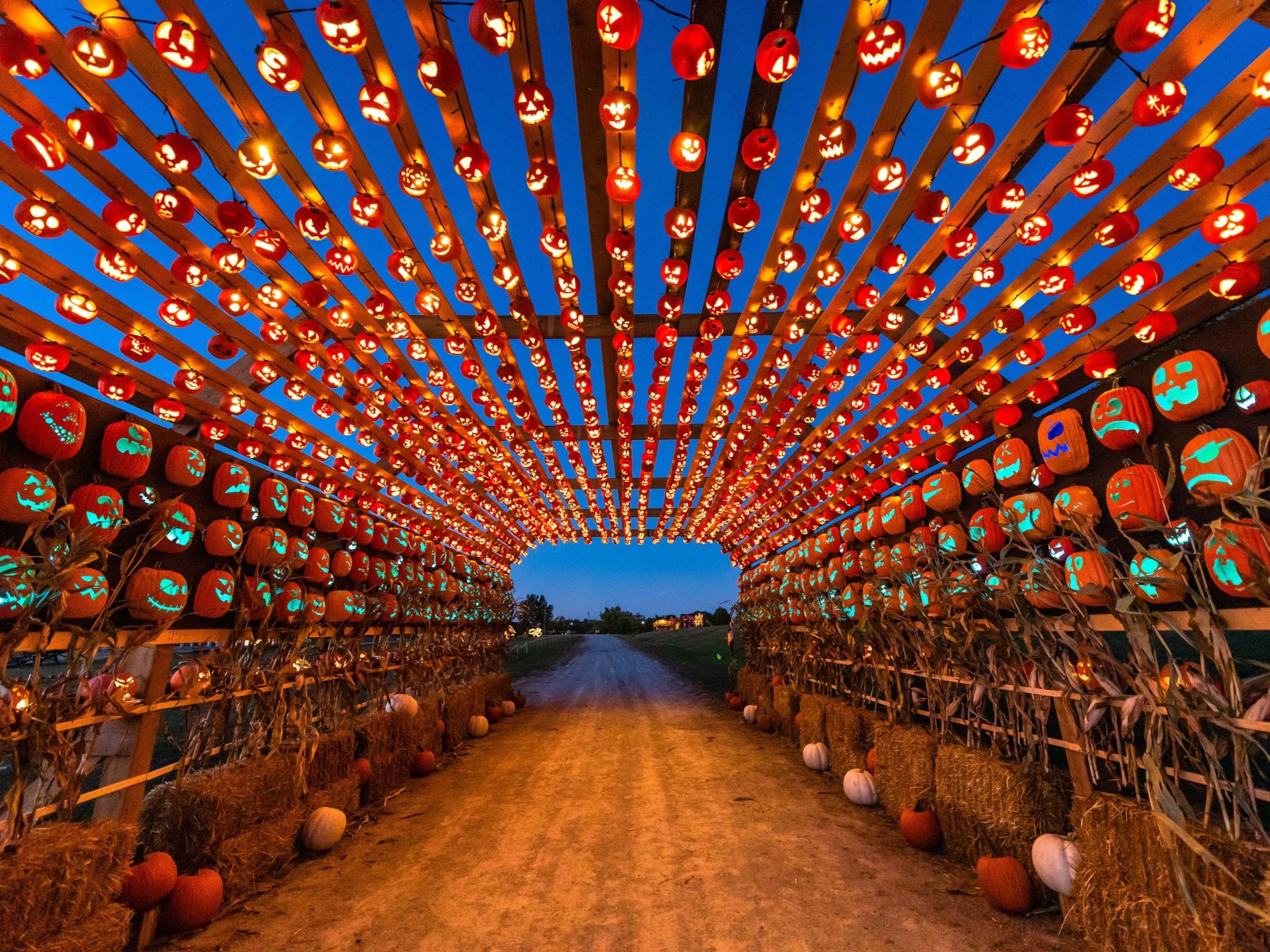 Pumpkins After Dark in Calgary