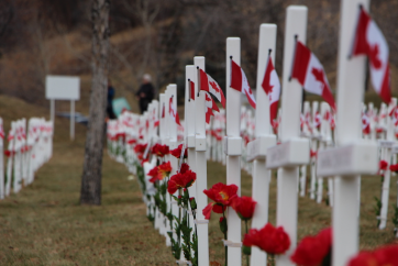 Calgarians Unite to Honor Veterans at 16th Annual Field of Crosses Installation