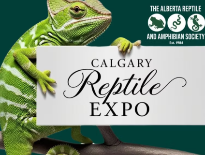 The Calgary Reptile Expo