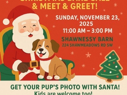 Santa Pup photos