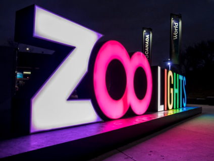 Zoolights
