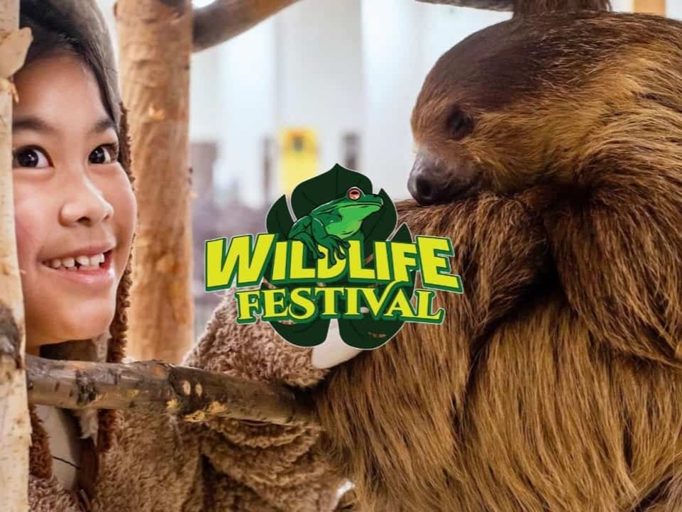 Wildlife Festival у Калгарі
