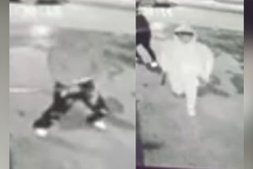 Поліція Калгарі розшукує підозрюваних у нічному нападі з пневматичною рушницею і битою