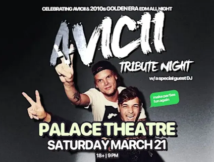 Avicii Tribute Night