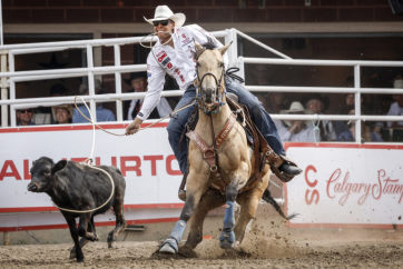 Заборона на ввезення худоби з Техасу може змусити учасників Calgary Stampede шукати нових коней для змагань