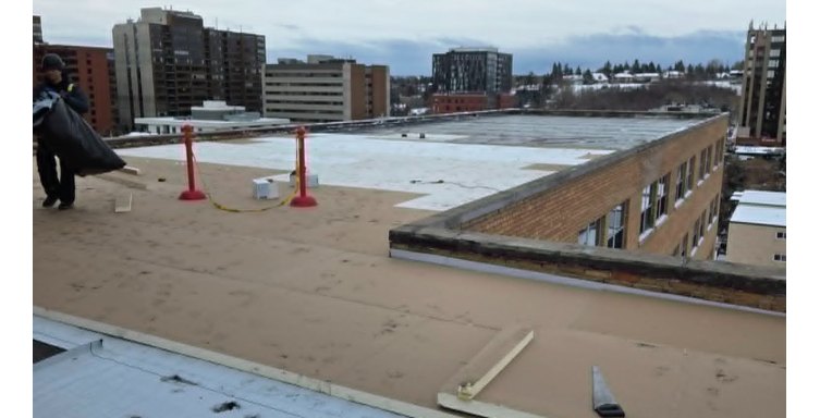 Roofing, Renovation & Installation Services 