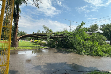 Edmonton and Calgary Forge Alliance for Swift Recovery After Severe Storms