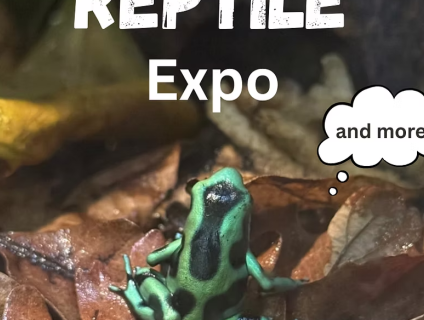 Calgary Reptile Expo 2026